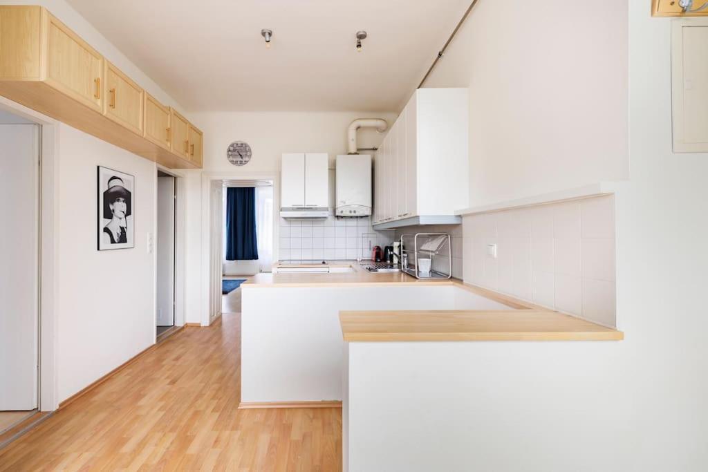 Beautiful 1 Bedroom Apartment Near Schoenbrunn Wiedeń Zewnętrze zdjęcie